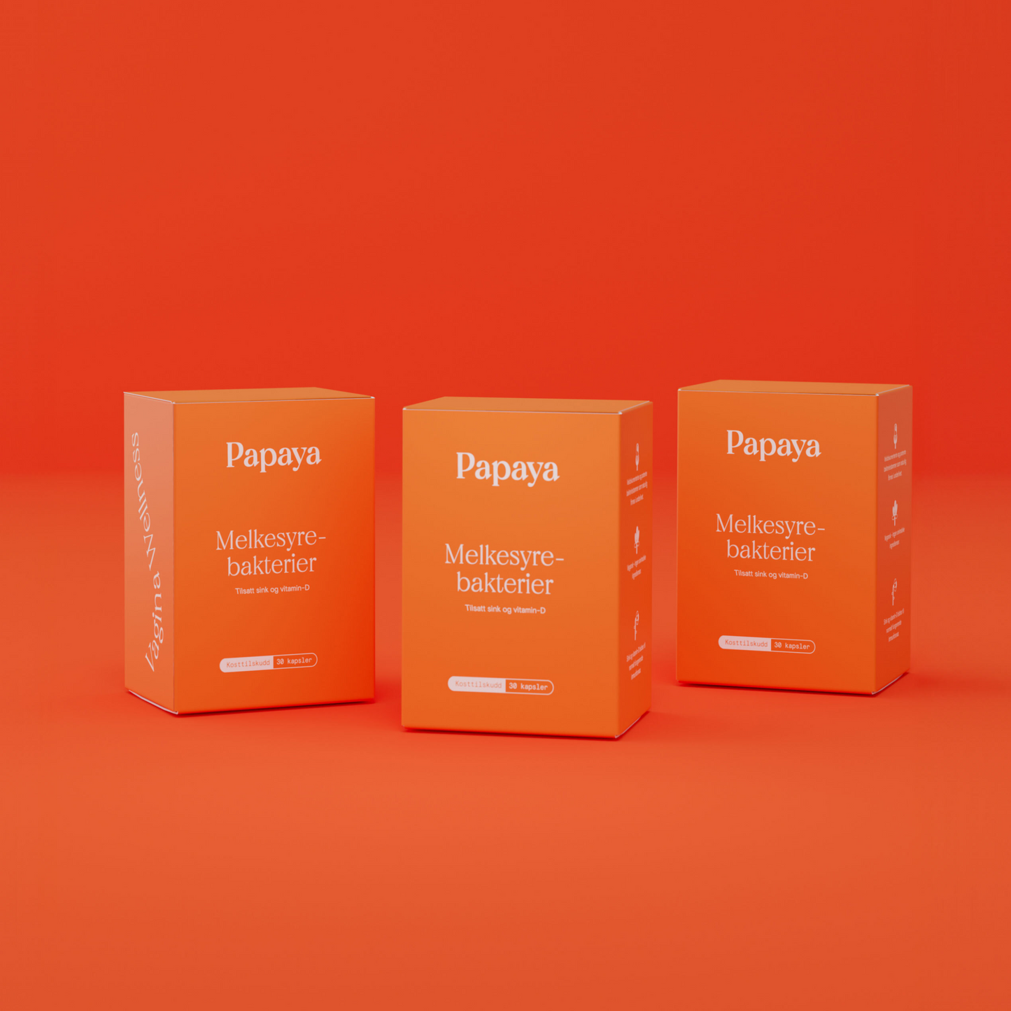 Papaya Melkesyrebakterier